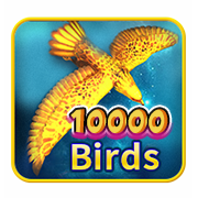 Bird king(10000) casino game