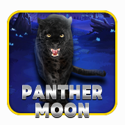 PantherMoon casino game