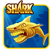 Shark casino game